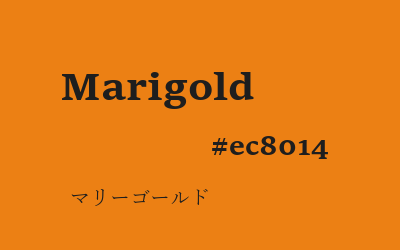 marigold, #ec8014